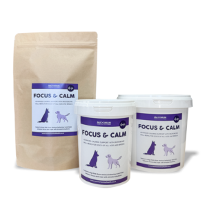 Maximum Focus & Calm for Dogs