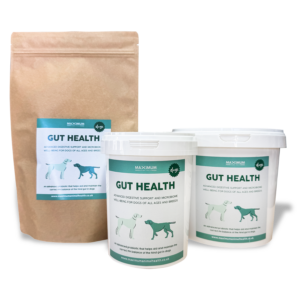 Maximum Gut Health for Dogs
