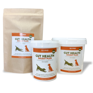 Maximum Gut Health Digest Plus for Dogs (With Pumpkin)